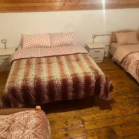 Гостевой дом Hotel-restorant Pepushaj *