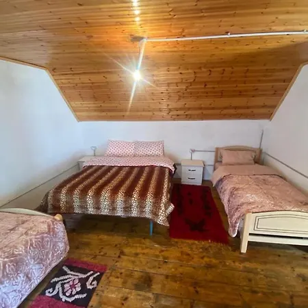 Гостевой дом Hotel-restorant Pepushaj Vukel