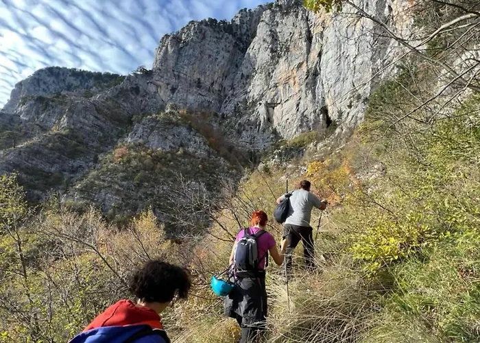 Affittacamere Hotel-restorant Pepushaj *